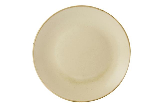 240mm Päikesetaldrik